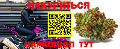 прущий лед Будённовск