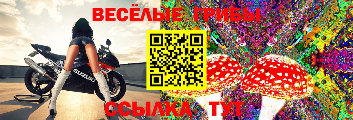 Псилоцибиновые грибы Psilocybe  Вход с VPN  Усть-Джегута 
